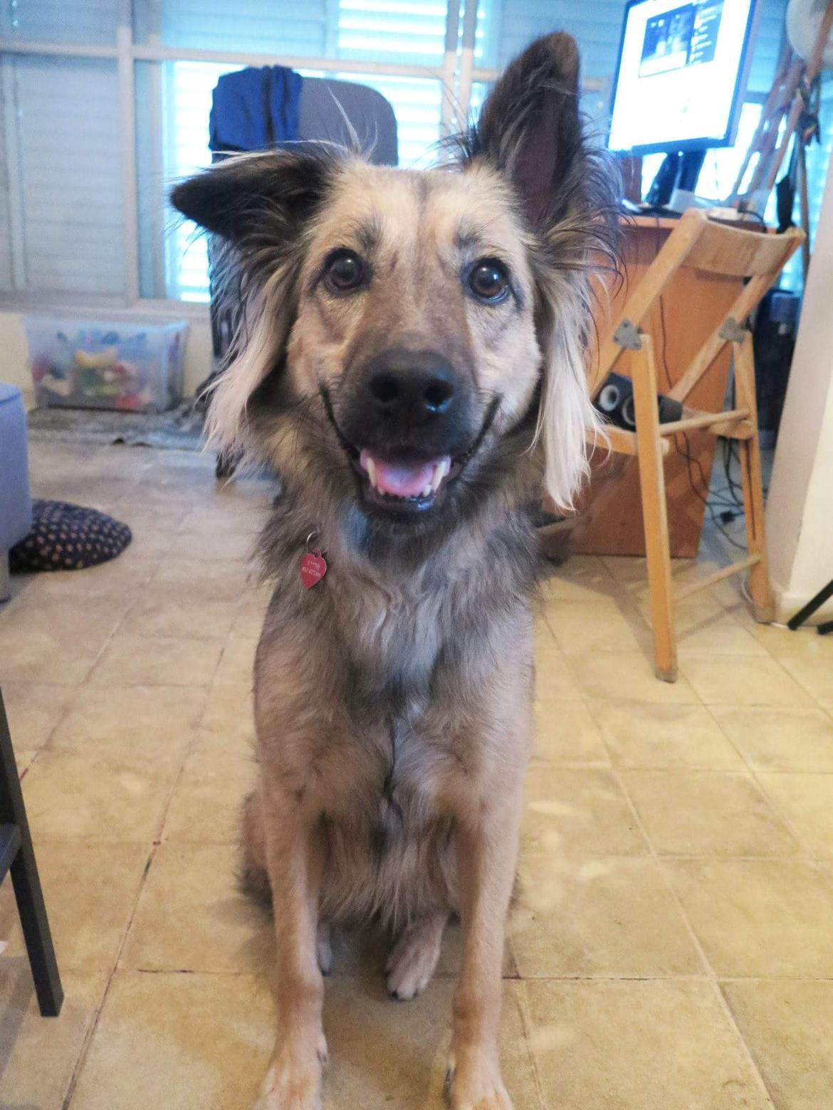 Blanding af racer Prize billede 9