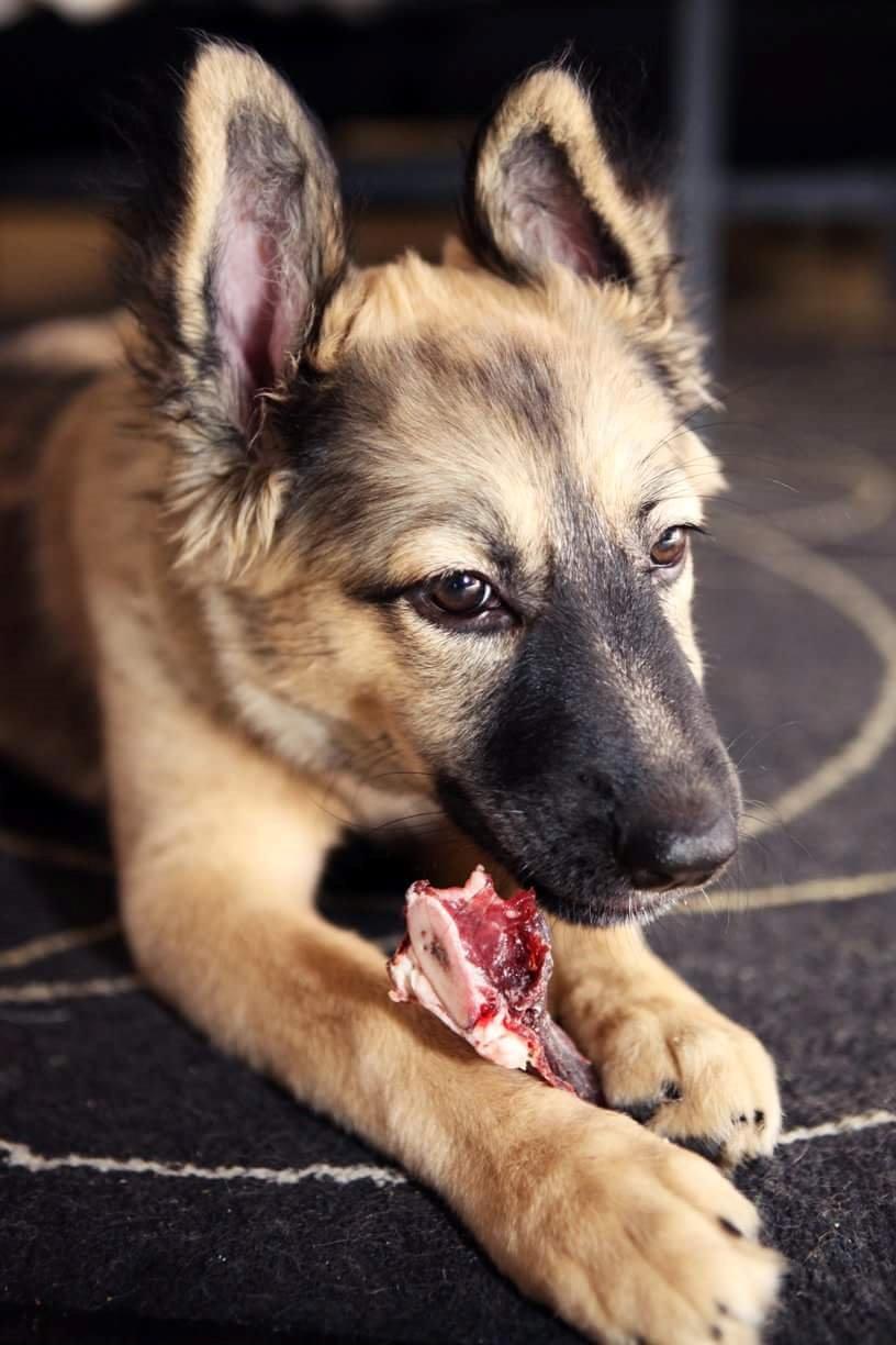 Blanding af racer Prize billede 20