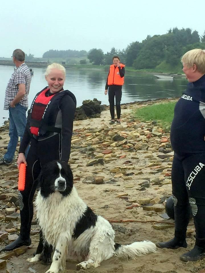 Newfoundlænder Moonshine lover's Zip Code Zhila - Øver vandtræning billede 42