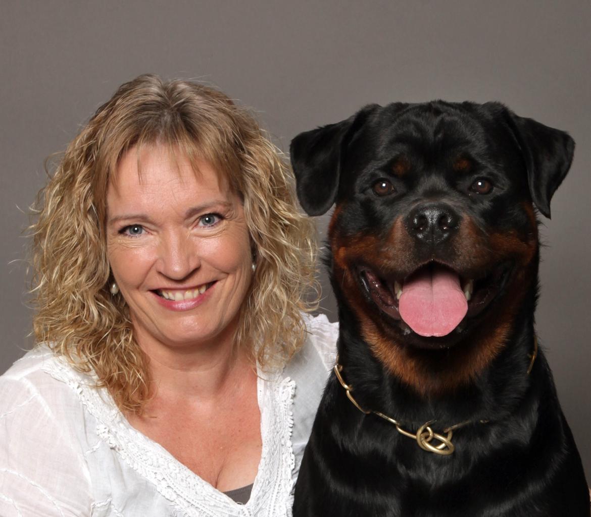 Rottweiler Cor-Canem Boss billede 15