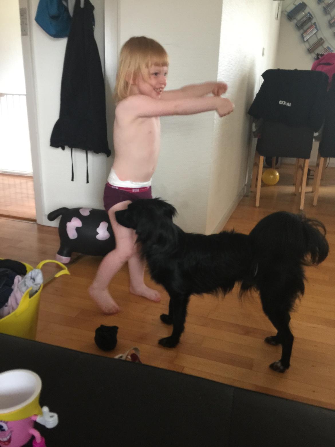 Markiesje Kato billede 1