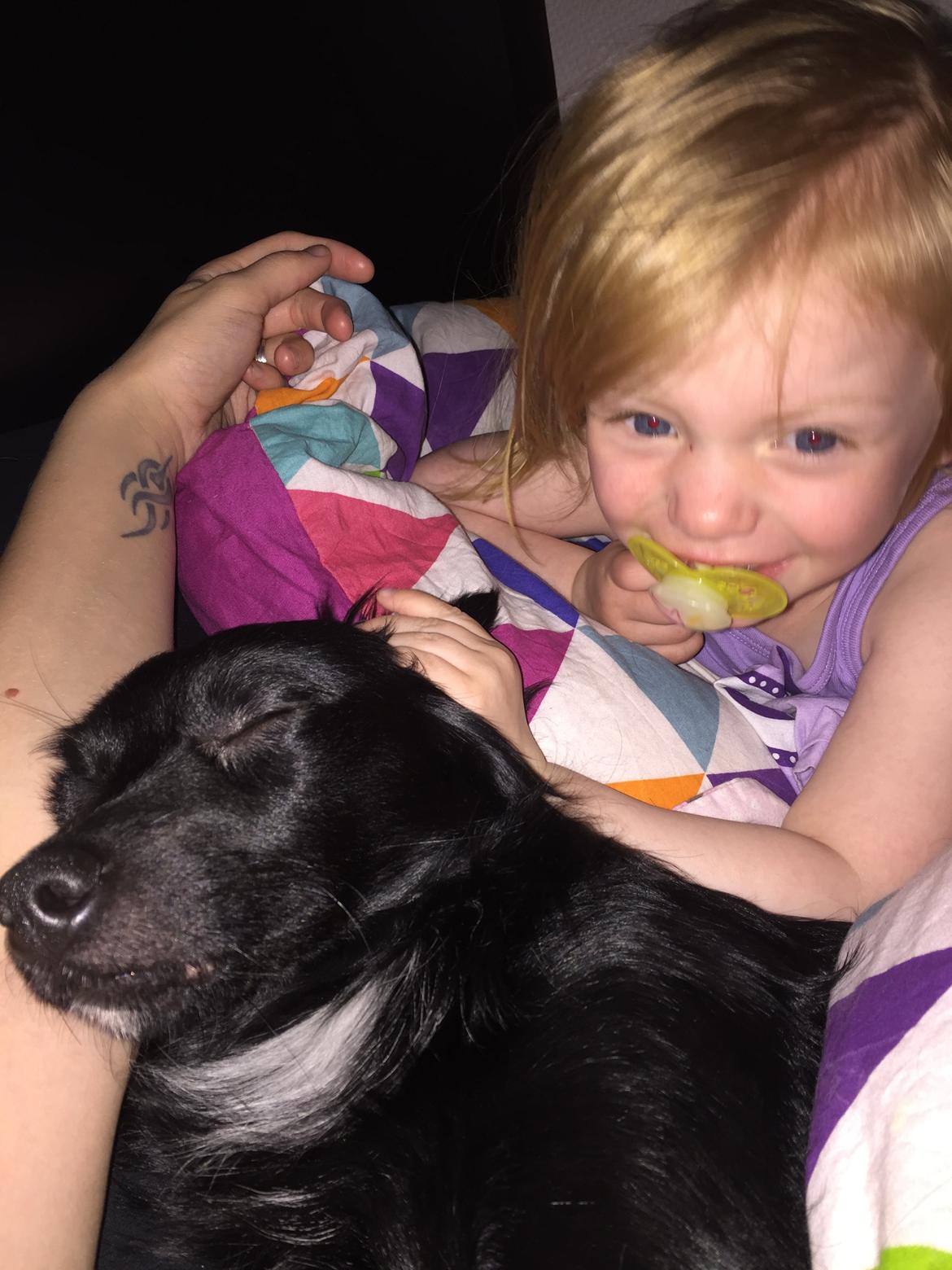 Markiesje Kato billede 2