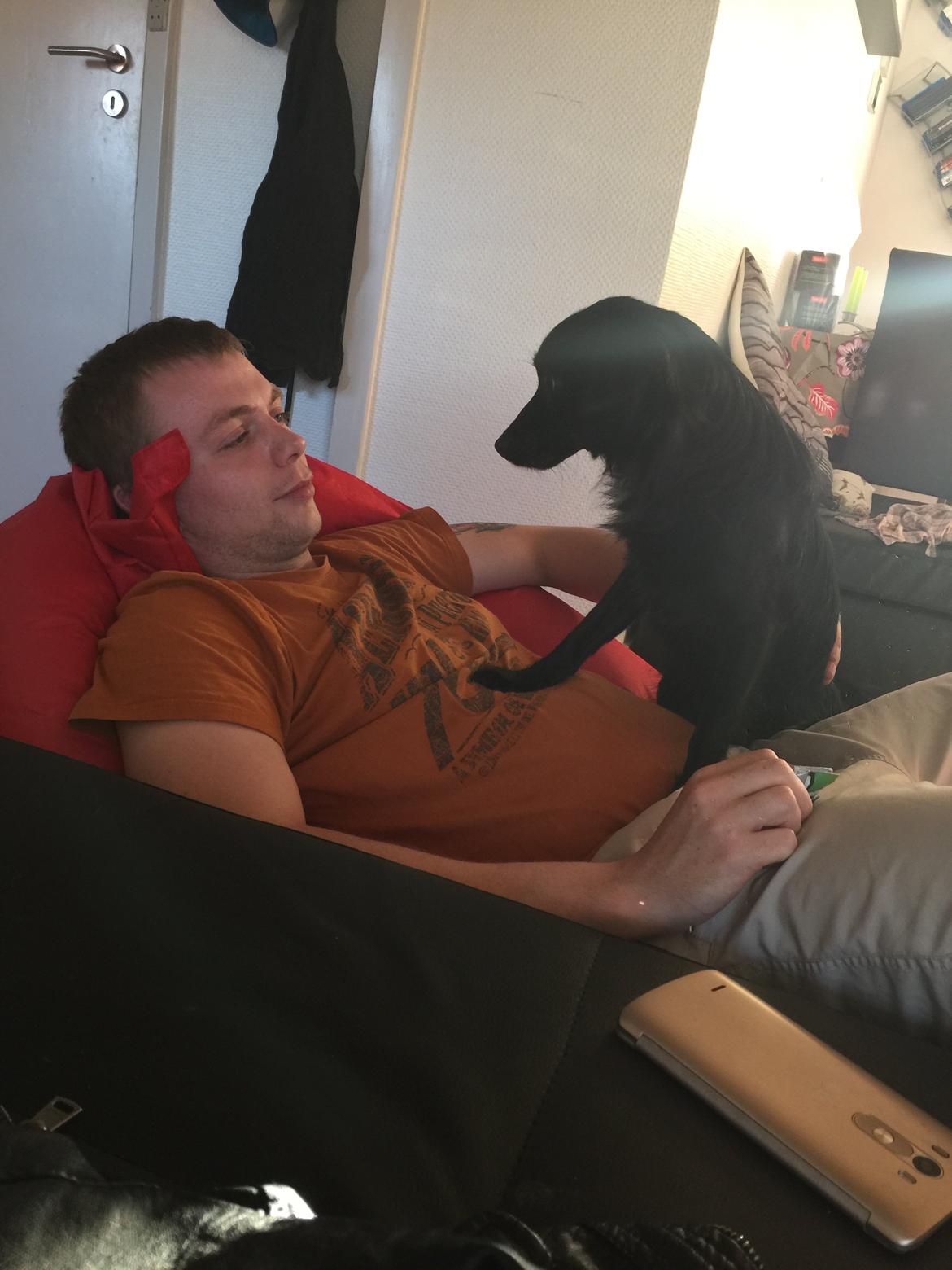 Markiesje Kato billede 5