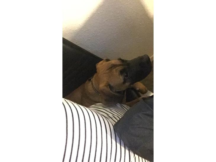 {{currentPhoto.altText}} billede {{currentPhoto.number}}