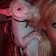 Bullterrier Sherdog casablanca (Dollar'sen )