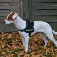 Blanding af racer Liva