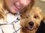 Blanding af racer Goldendoodle (Navn: Einstein)