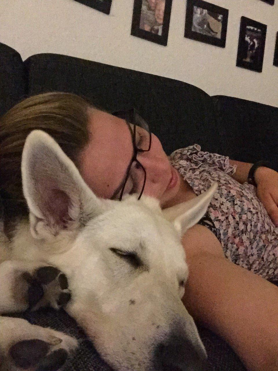 Hvid schæfer Homie billede 40