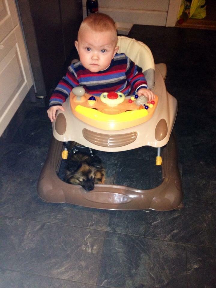 Blanding af racer Flossie billede 28