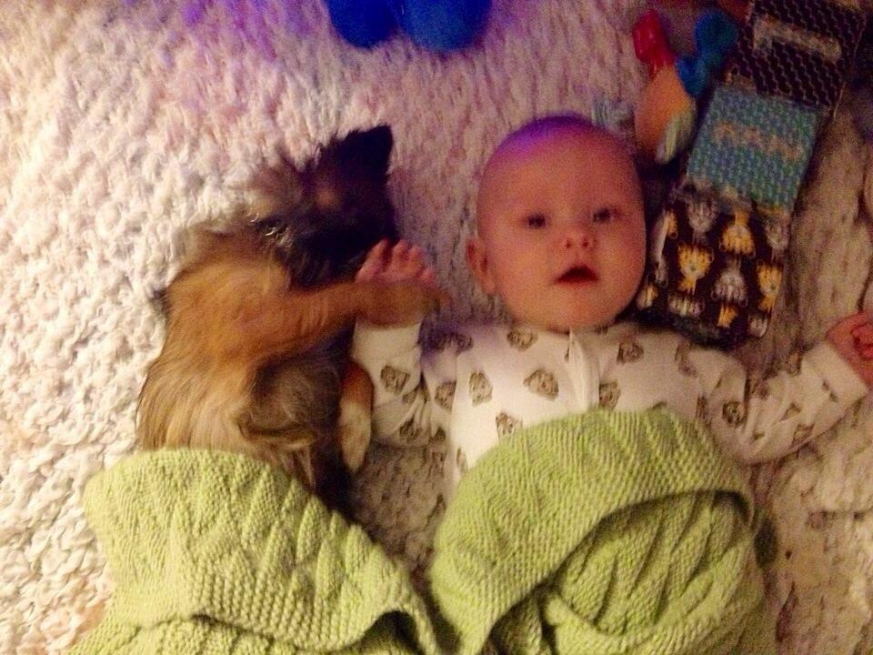 Blanding af racer Flossie billede 29