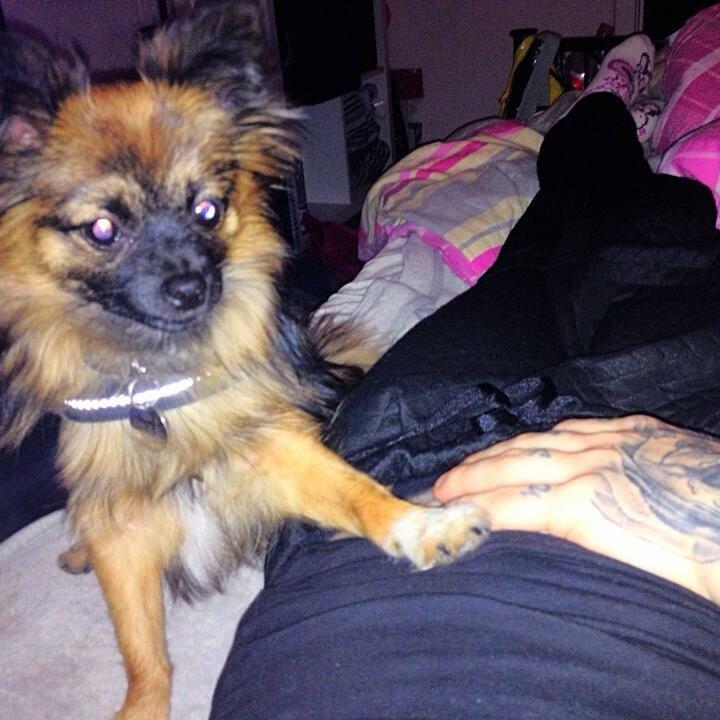 Blanding af racer Flossie billede 32