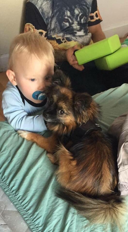 Blanding af racer Flossie billede 34