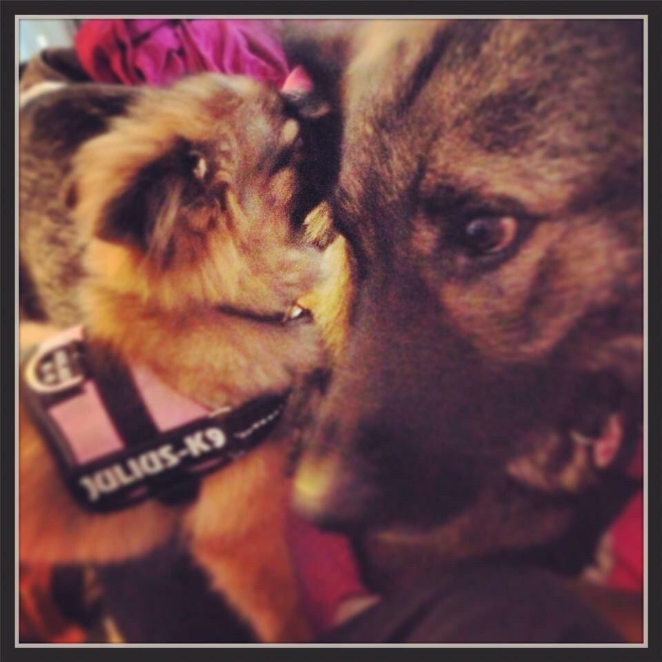 Blanding af racer Flossie billede 38