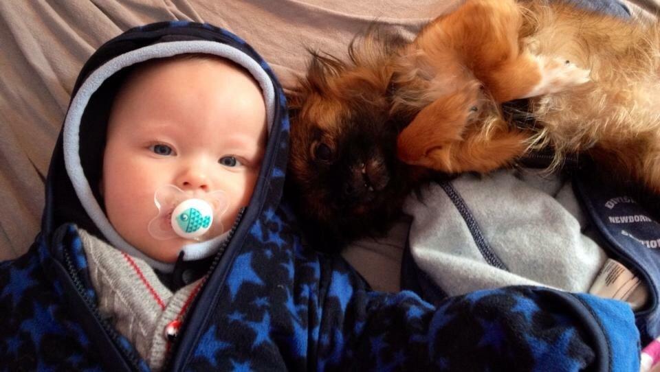 Blanding af racer Flossie billede 26