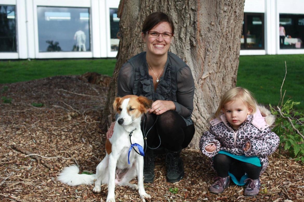 Kromfohrländer Ashia von der Kapuzineraue billede 28