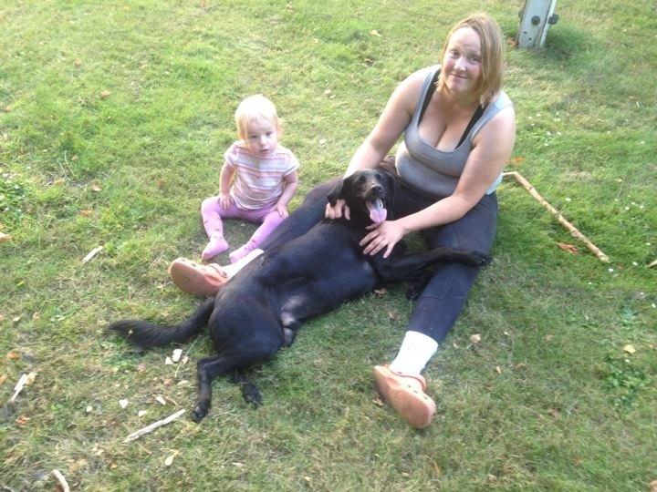 Labrador retriever Basse billede 32