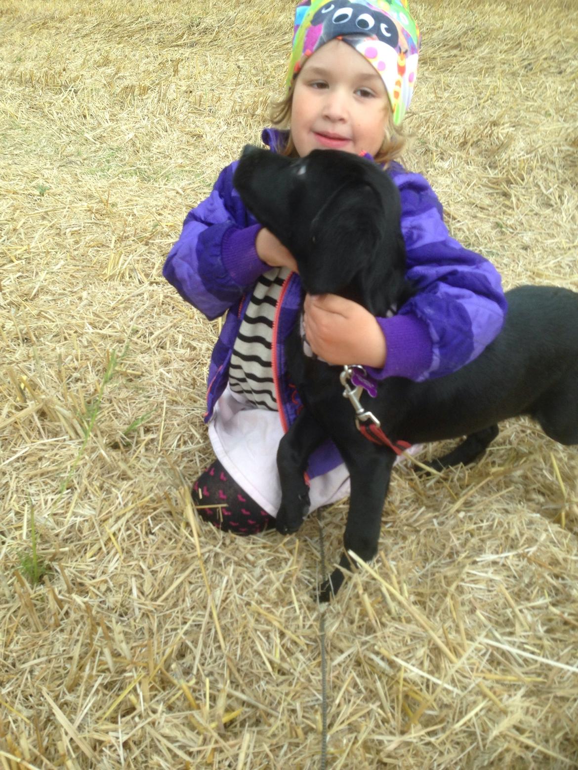 Blanding af racer Tulle billede 13