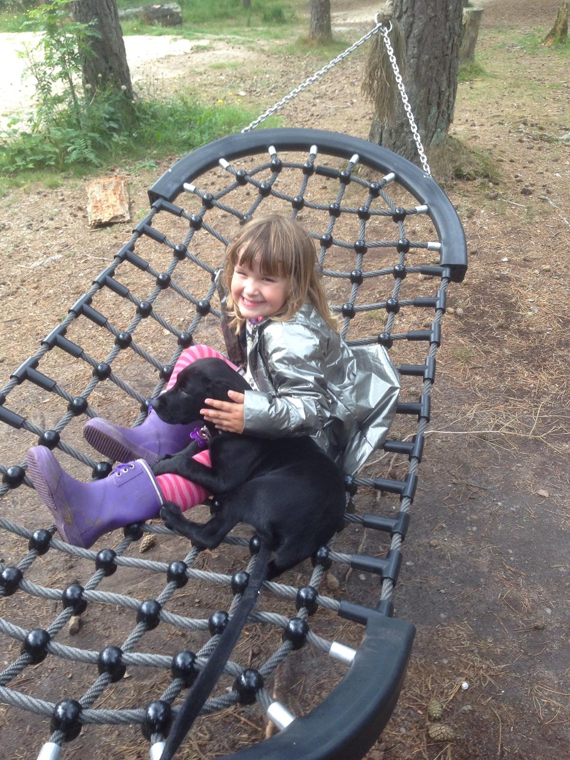 Blanding af racer Tulle billede 9