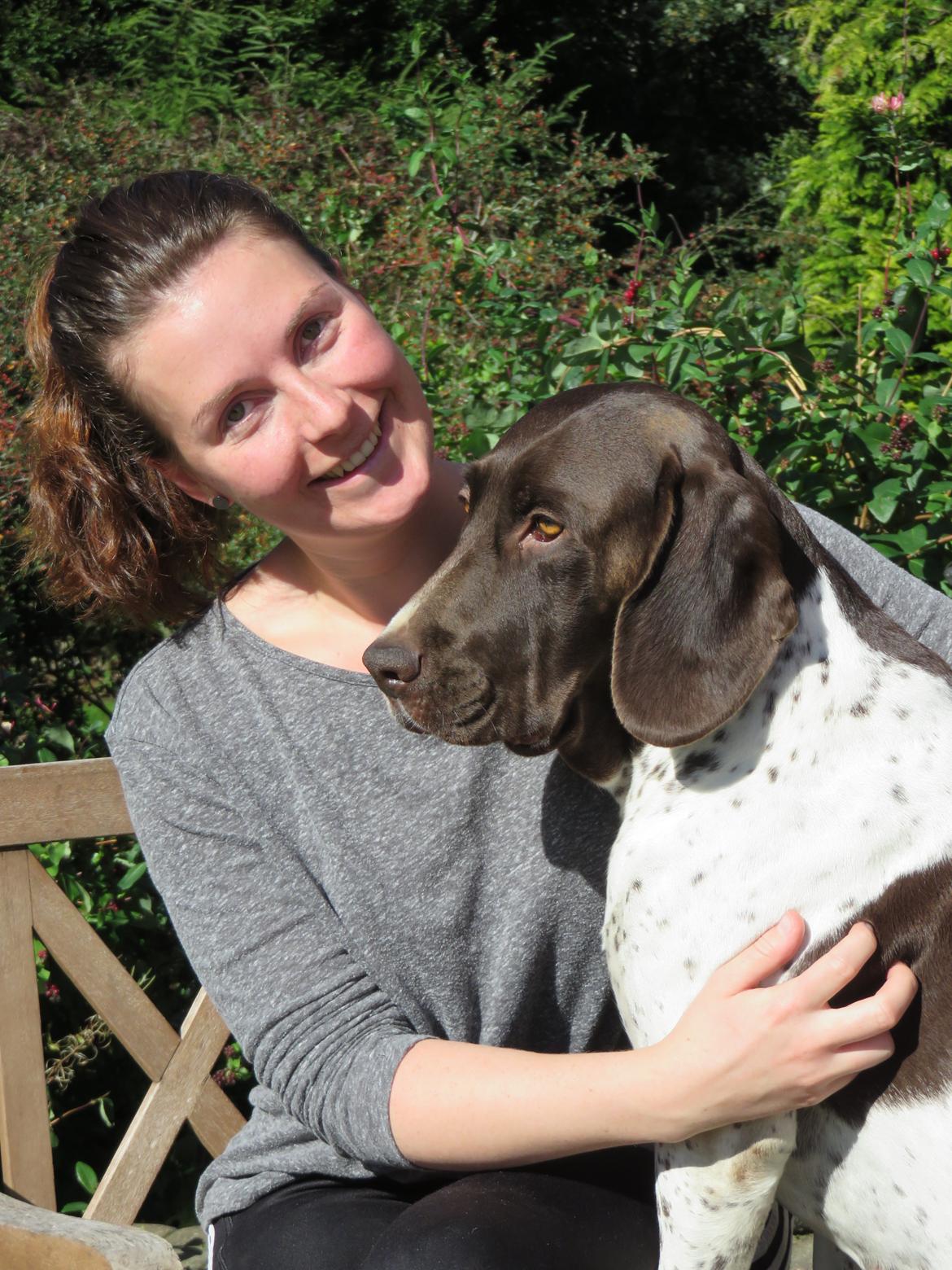 Gammel dansk hønsehund Nynne billede 4