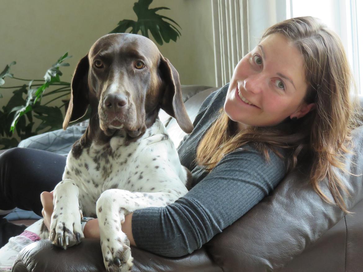 Gammel dansk hønsehund Nynne billede 3