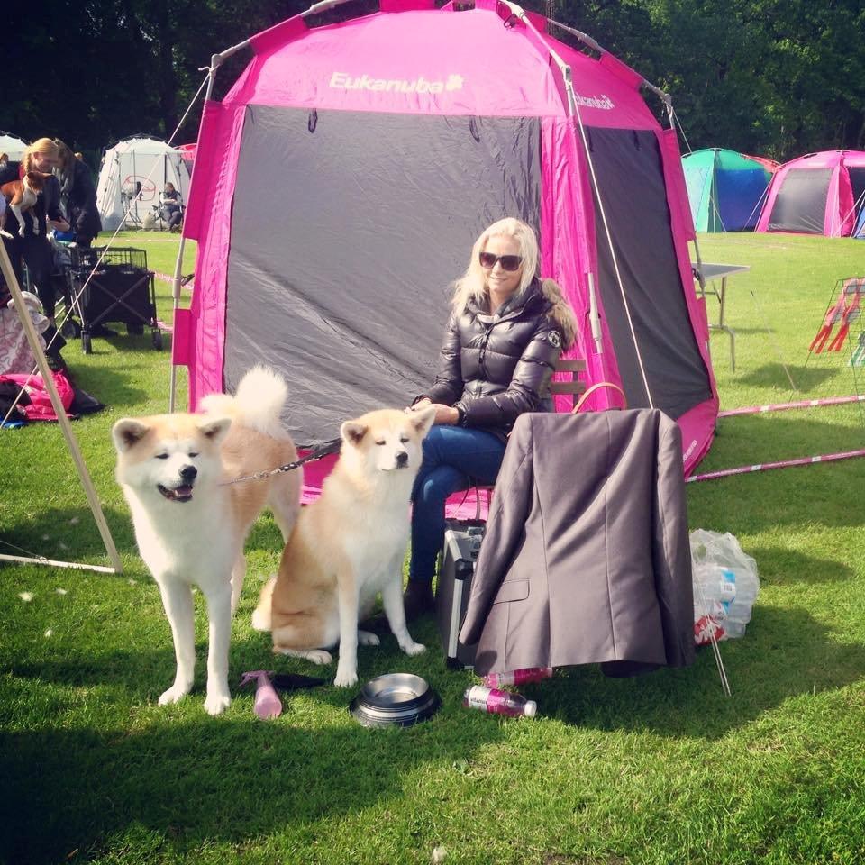 Akita inu Hakusha Go Kaikado billede 25