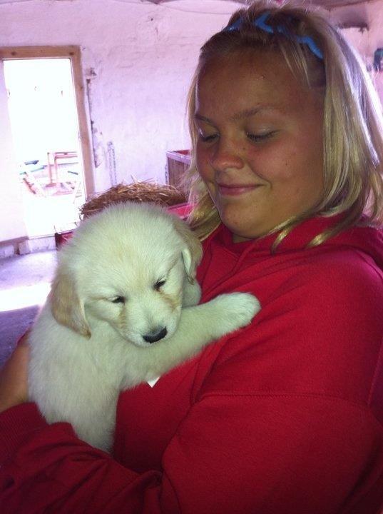 Blanding af racer Chilla  billede 13