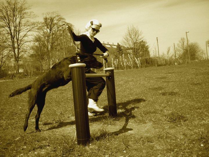 Blanding af racer Mischa billede 4