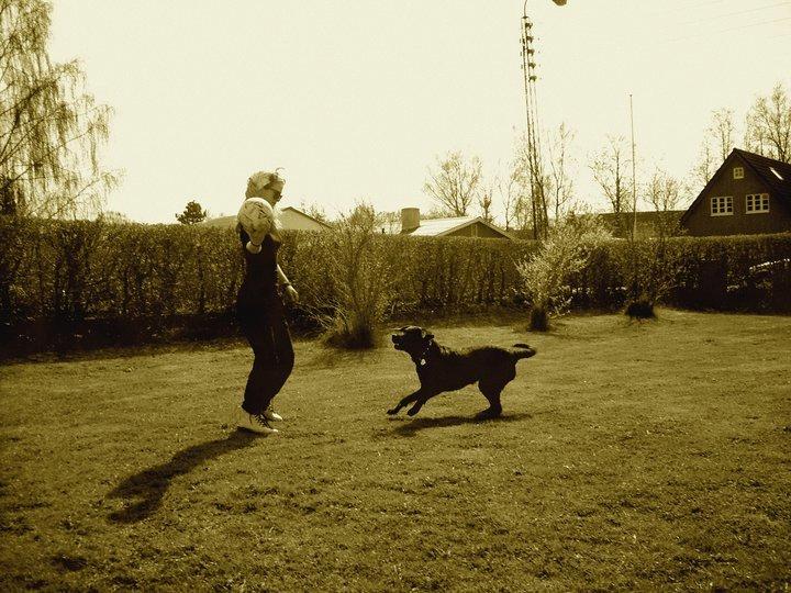 Blanding af racer Mischa billede 5