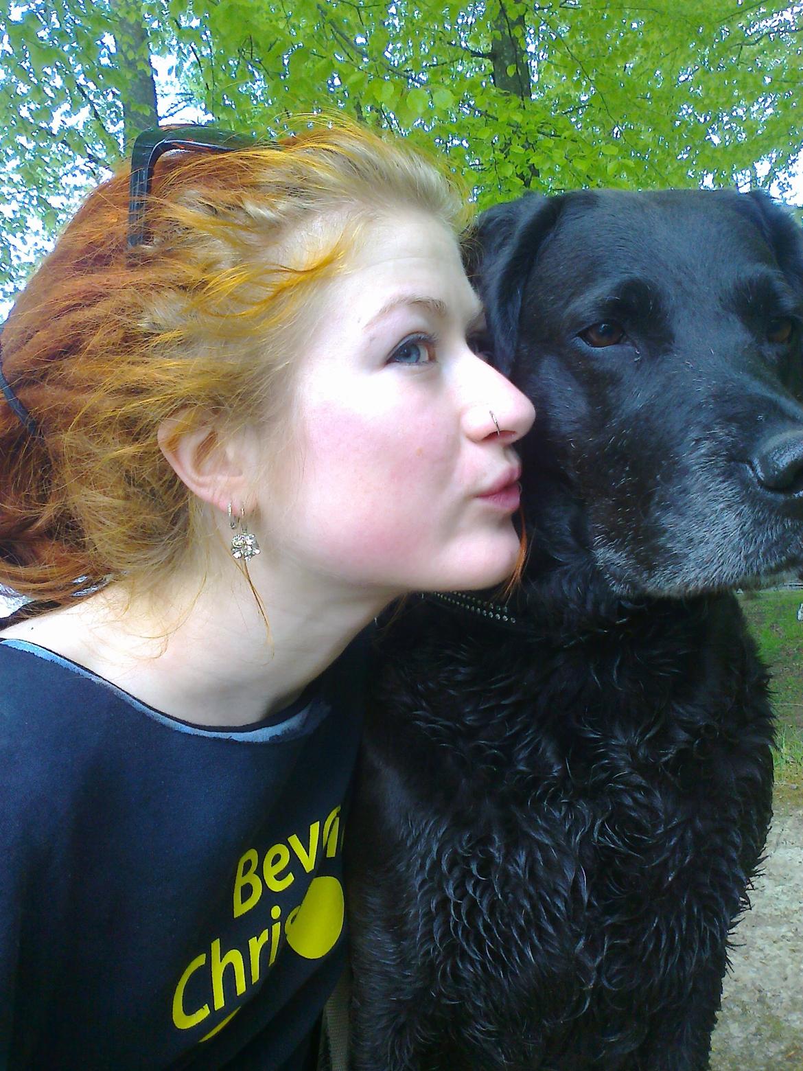 Blanding af racer Mischa billede 21