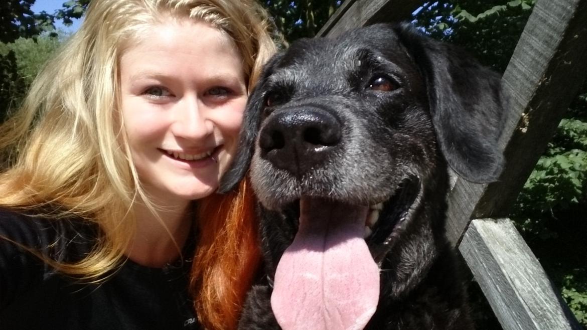 Blanding af racer Mischa billede 22