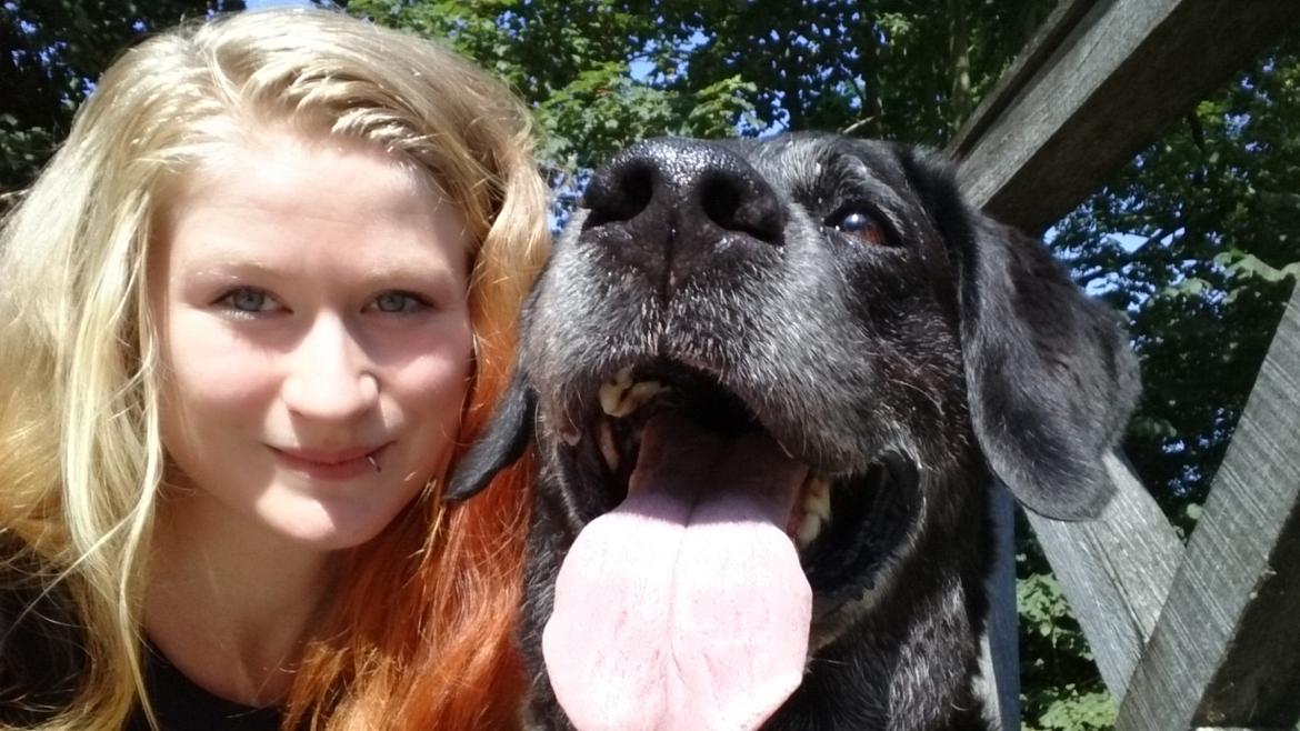 Blanding af racer Mischa billede 23