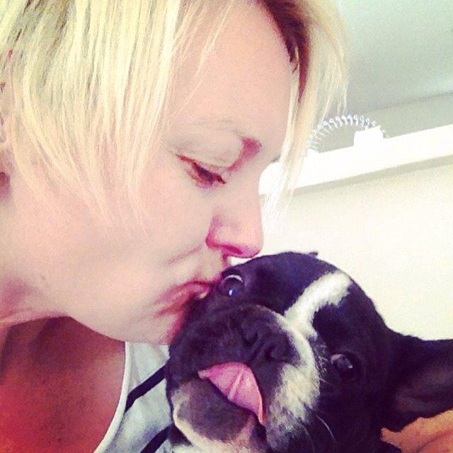 Fransk bulldog Greenhills Bulldogs Irmalou billede 4