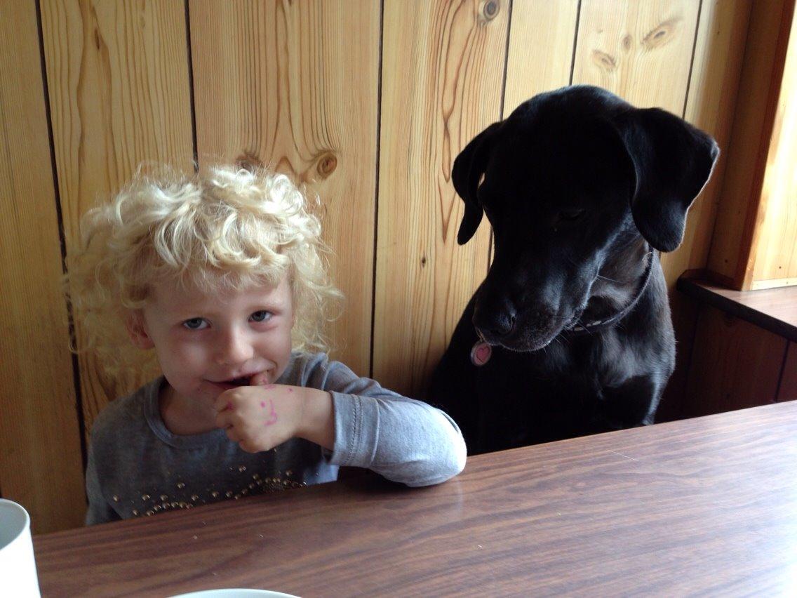 Blanding af racer Nellie RIP :'( billede 16