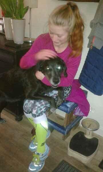 Blanding af racer Mischa billede 29