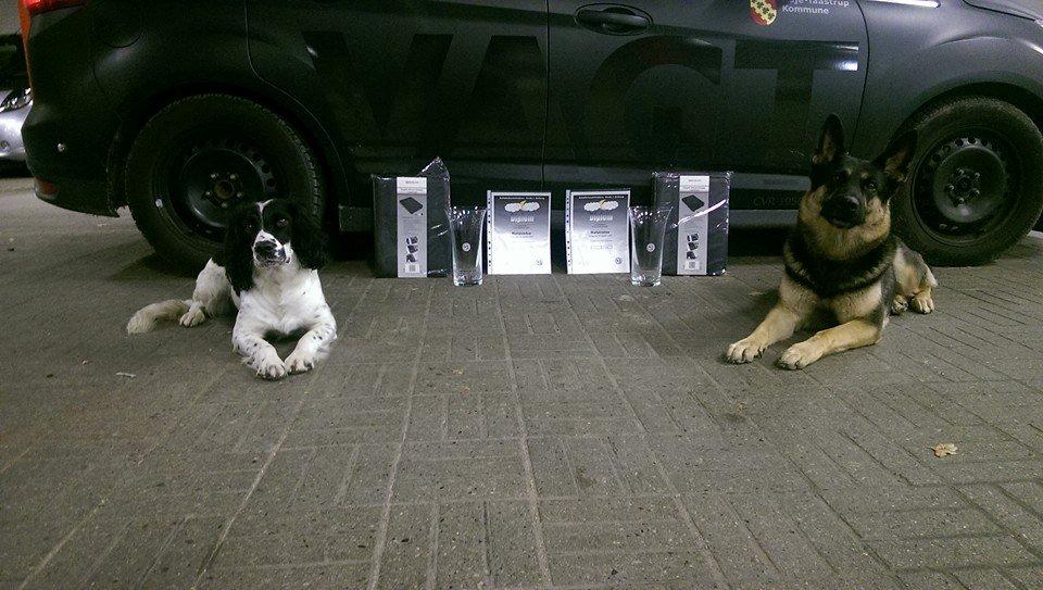 Schæferhund Juice 17/2-2011 - 7/9-2021 - 30/10-15 Vinder årets politihundenatøvelse med Funky.  billede 14