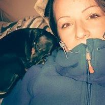 Dvaergpinscher Lilo (Lilleskid) billede 9