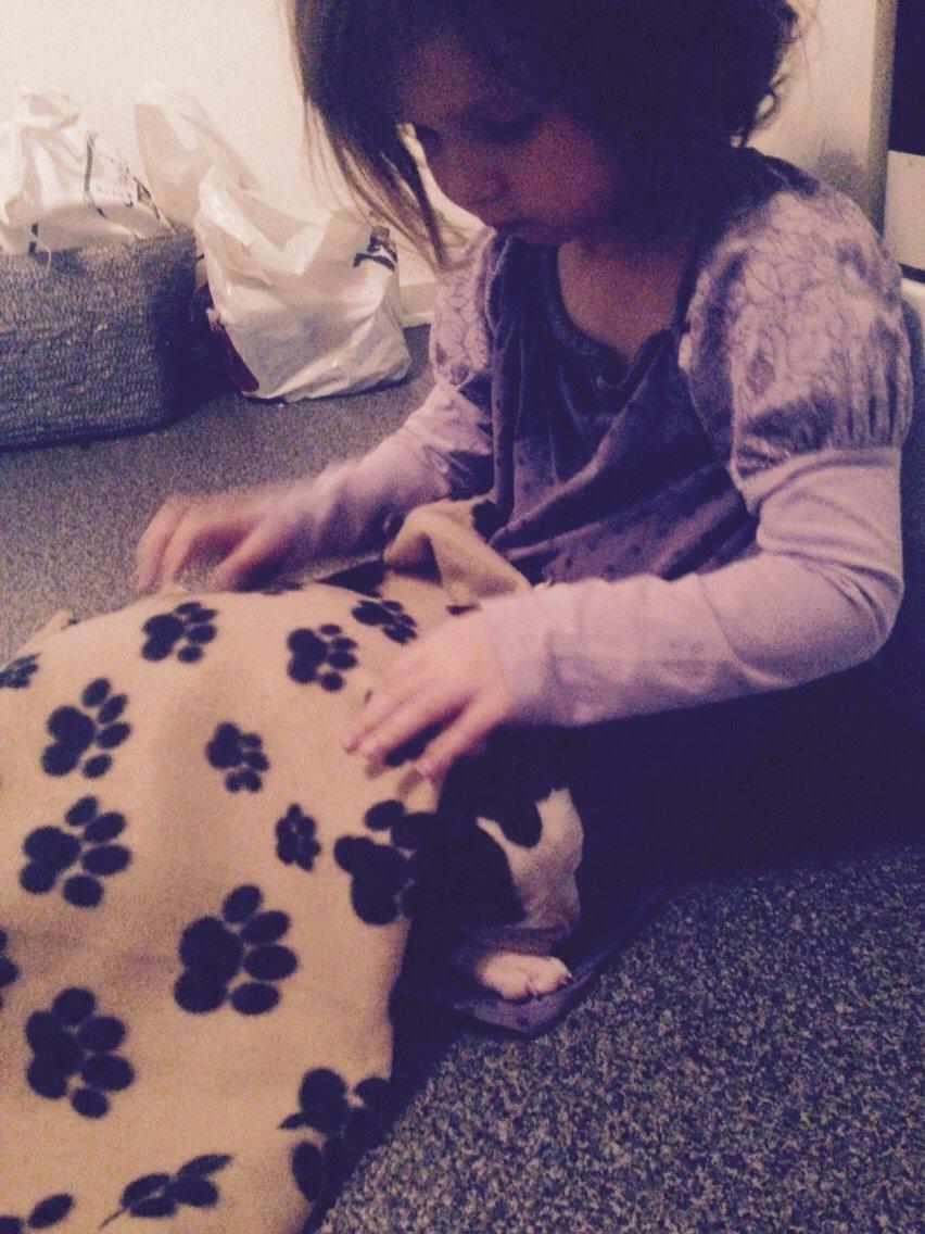 Staffordshire bull terrier Chika billede 10