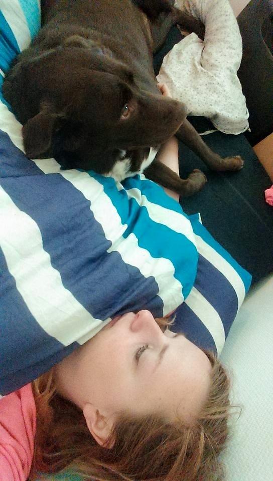 Blanding af racer Basse billede 3