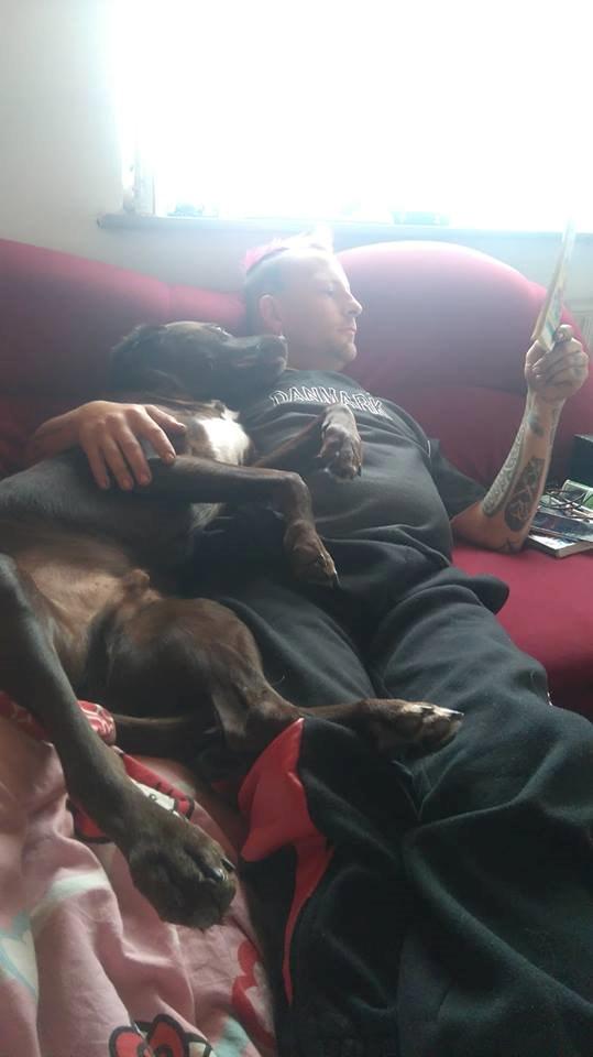 Blanding af racer Basse billede 10