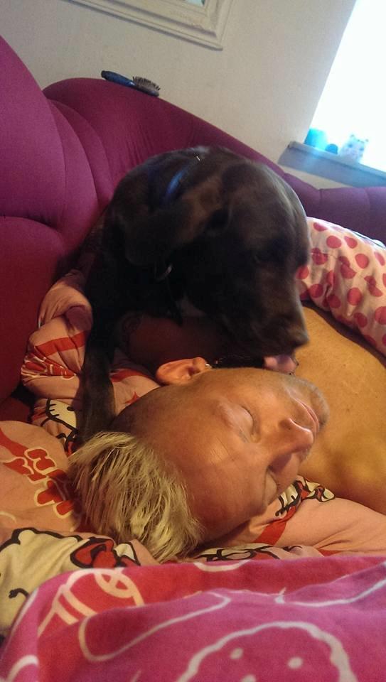 Blanding af racer Basse billede 11