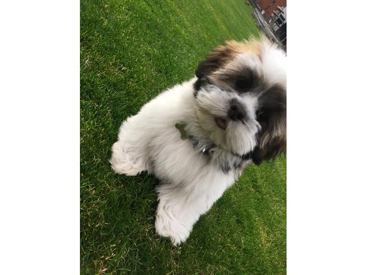 {{currentPhoto.altText}} billede {{currentPhoto.number}}