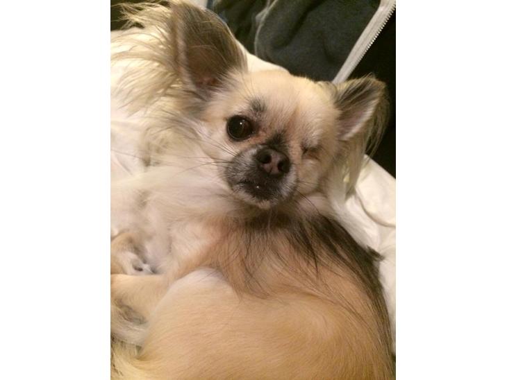 {{currentPhoto.altText}} billede {{currentPhoto.number}}