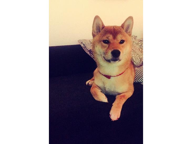 {{currentPhoto.altText}} billede {{currentPhoto.number}}