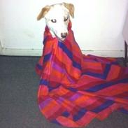 Blanding af racer Olivia