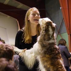 Borzoi Rotteberg aka Rotte
