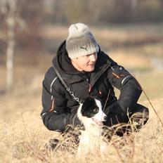 Border collie Zoey