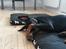 Dobermann Raphaels Fleur R.I.P <3