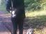 Labrador retriever Manze - Her er jeg som hvalp.