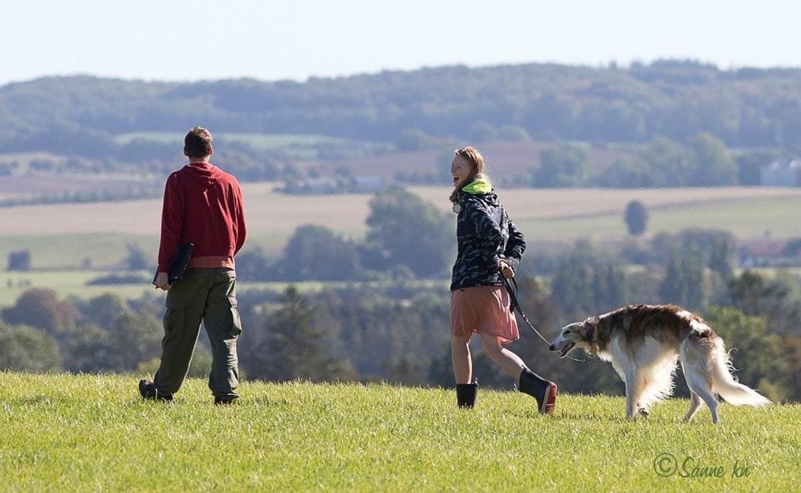 Borzoi Rotteberg aka Rotte billede 9