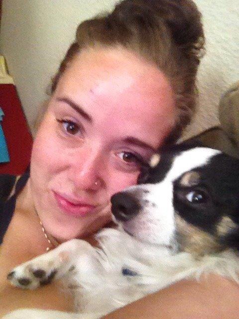 Blanding af racer Baluh billede 39